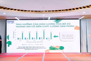 Học sinh Trường THCS - THPT Ban Mai (Hà Nội) thuyết minh dự án nghiên cứu.