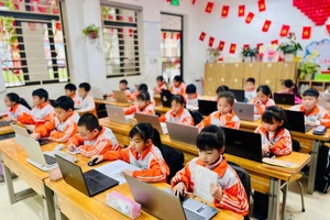 Thí sinh tham gia thi Violympic năm học 2025-2026.