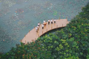 Dịp 20/11, nhóm sinh viên Trường Đại học FPT đã cho ra mắt MV cover ca khúc “Người gieo mầm xanh” – phiên bản hòa tấu 7 nhạc cụ truyền thống.