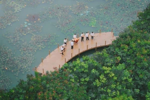 Dịp 20/11, nhóm sinh viên Trường Đại học FPT đã cho ra mắt MV cover ca khúc “Người gieo mầm xanh” – phiên bản hòa tấu 7 nhạc cụ truyền thống.