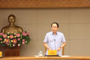 Phó Thủ tướng Lê Tiến Châu phát biểu tại cuộc họp.