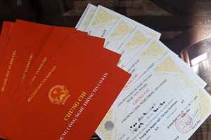 Ảnh minh họa/ITN.