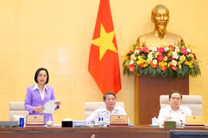 Phó Chủ tịch Quốc hội Nguyễn Thị Thanh điều hành phiên họp.