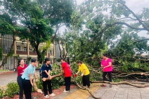 Giáo viên, nhân viên Trường THCS Lĩnh Nam (quận Hoàng Mai, Hà Nội) dọn dẹp cây gãy đổ, vệ sinh môi trường. Ảnh: Vân Anh.