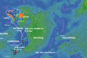 Cập nhật vị trí của áp thấp nhiệt đới hồi 9 giờ ngày 19.8. Nguồn: Hệ thống Giám sát thiên tai Việt Nam.