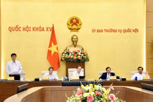 Phó Chủ tịch Quốc hội Vũ Hồng Thanh điều hành phiên họp. Ảnh: Lê Tuyết (VOV).