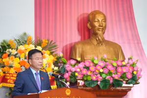 Đồng chí Lê Thành Long, Ủy viên Ban Chấp hành Trung ương Đảng, Ủy viên Ban Thường vụ Đảng ủy Chính phủ, Phó Thủ tướng Chính phủ phát biểu tại Đại hội. Ảnh: Xuân Phú.