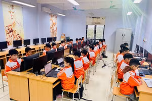 Các thí sinh tham gia vòng thi Violympic các cấp năm học 2024 - 2025.