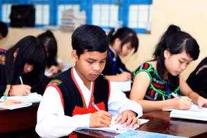 Bộ GD&ĐT ban hành Chương trình các môn học bồi dưỡng dự bị đại học