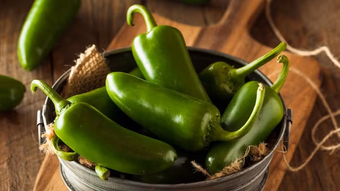 Ớt jalapeno được trồng tại bang Sinaloa của Mexico.