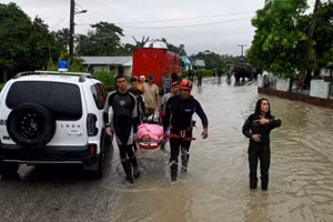 Jamaica bùng phát dịch bệnh leptospirosis gây chết người sau cơn bão Melissa.