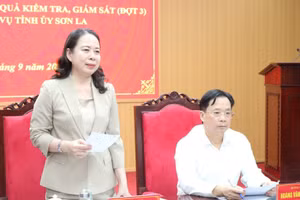 Phó Chủ tịch nước Võ Thị Ánh Xuân phát biểu.