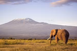 Núi Kilimanjaro nằm ở Tanzania được biết đến là ngọn núi cao nhất châu Phi.