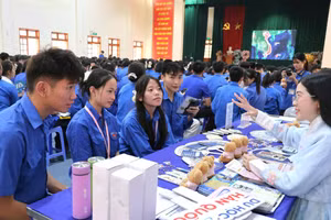 Nhiều đoàn viên, thanh niên tham gia hoạt động tư vấn hướng nghiệp để học nghề và tìm kiếm việc làm.