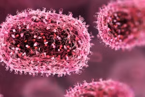 Virus Shamonda dưới kính hiển vi.