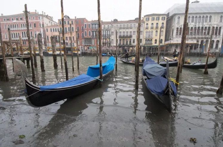 Sống ở Venice trơ đáy 