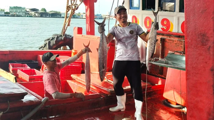 Ngư dân Sông Đốc lên cá với niềm vui trúng mùa.