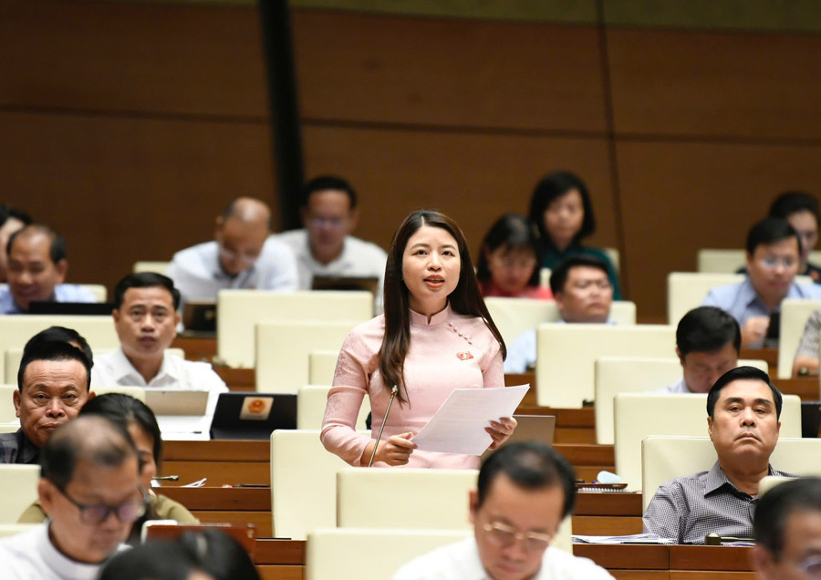 Đại biểu Quốc hội Nguyễn Thị Hà b1.jpg