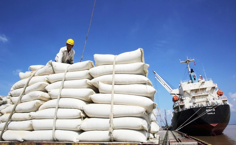 VCCI kiến nghị bỏ loạt quy định làm khó doanh nghiệp xuất khẩu gạo