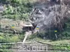 Binh sĩ Ukraine tiến sát làng Tyotkine thuộc vùng Kursk