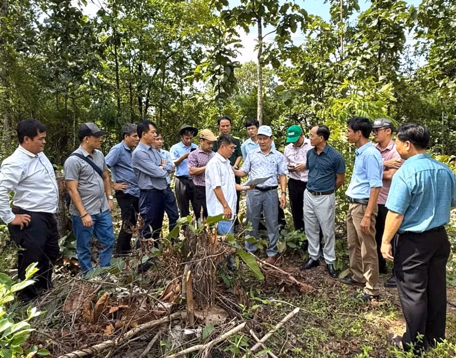 Ông Phạm Văn Nam – Giám đốc Sở GD&ĐT tỉnh Gia Lai cùng đoàn công tác khảo sát, lập phương án đầu tư xây dựng trường phổ thông nội trú liên cấp tại 7 xã biên giới.