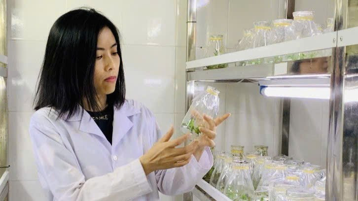 PGS.TSKH Nguyễn Thị Mộng Điệp dành nhiều năm nghiên cứu trong lĩnh vực khoa học y sinh.