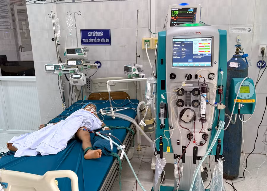 Bệnh nhi được các y bác sĩ tích cực theo dõi và điều trị sau khi bị ong vò vẽ đốt.