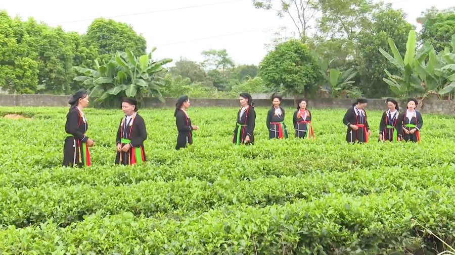 Hát Soọng Cô gắn chặt với đời sống người dân tộc Sán Dìu Nam Hòa.