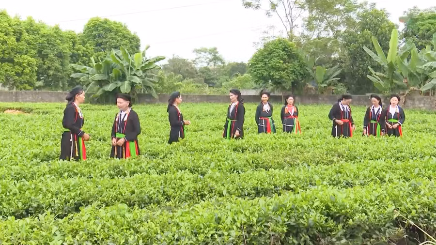 Hát Soọng Cô gắn chặt với đời sống người dân tộc Sán Dìu Nam Hòa.