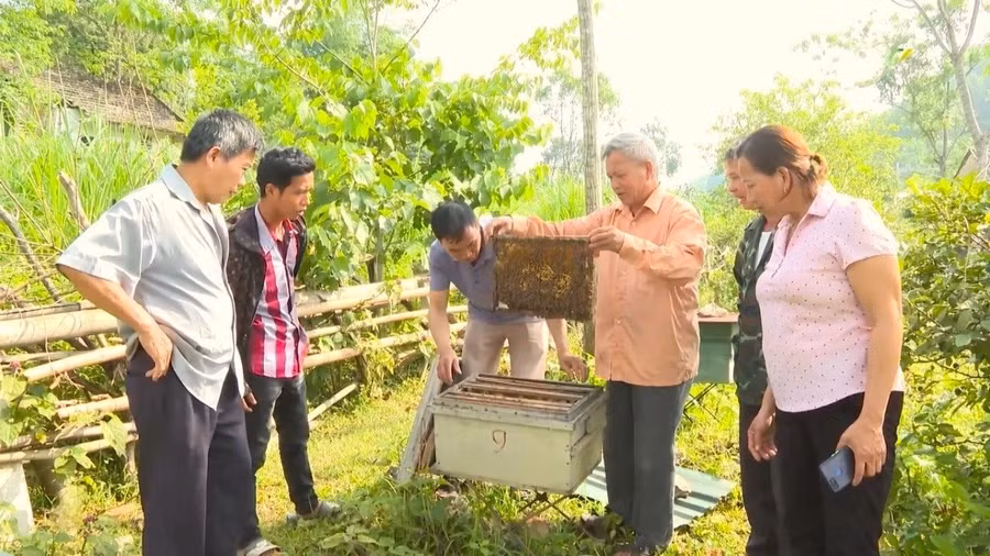 Người dân phường Thục Phán, tỉnh Cao Bằng phát triển kinh tế nuôi ong lấy mật để giảm nghèo bền vững. (Ảnh: NL)
