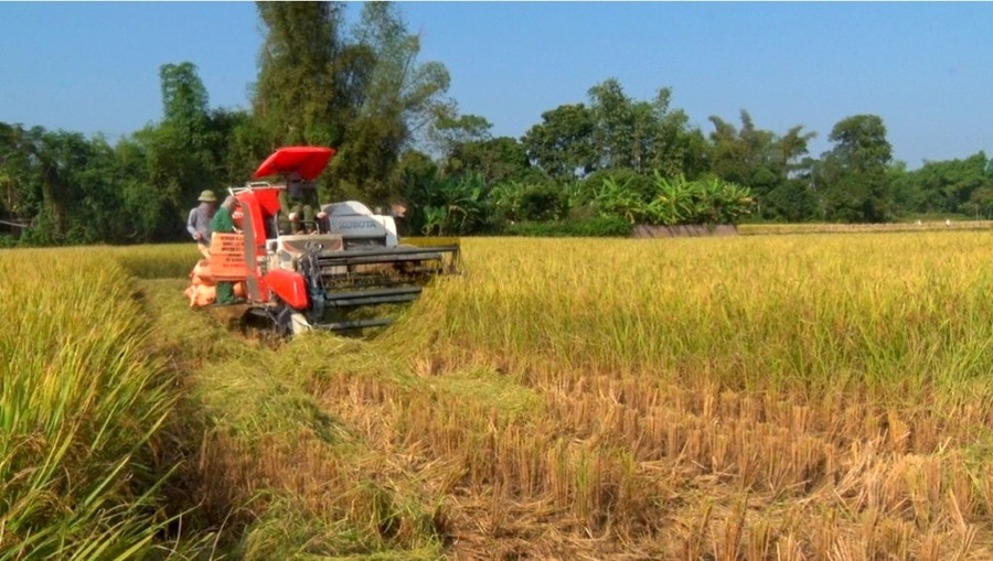 Tỉnh Cao Bằng đang tập trung cơ cấu lại ngành nông nghiệp nhằm thúc đẩy tăng trưởng. 137491-7793-thach-an-kvsd-14361130.jpg