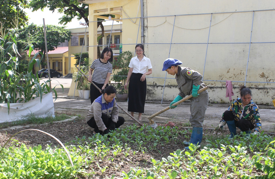 Phụ huynh học sinh cùng giáo viên chăm sóc khu vườn rau của học trò Trường Tiểu học Quang Vinh. th2.jpg