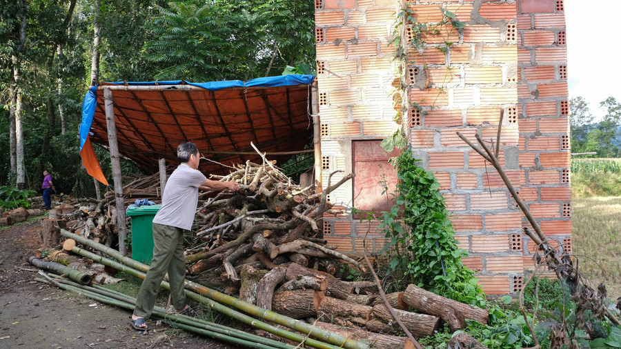 Anh Hoàng Văn Toản chuẩn bị củi để sấy cây thuốc lá.