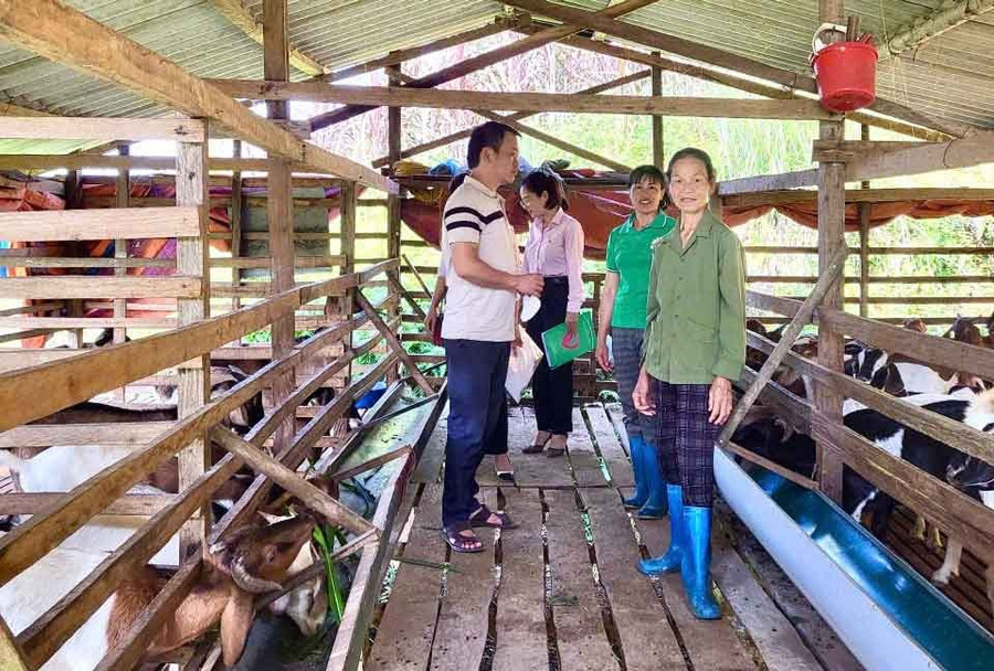 Thông qua công tác thông tin, tuyên truyền, nhiều hộ dân ở Cao Bằng nâng cao nhận thức, triển khai các mô hình giảm nghèo hiệu quả. cao-bang-mo-hinh-giam-ngheo.jpg