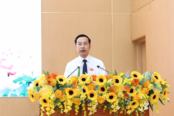 Ông Nguyễn Thanh Nhàn, Phó Bí thư Tỉnh ủy, Chủ tịch HĐND tỉnh An Giang khóa X, phát biểu tại kỳ họp.