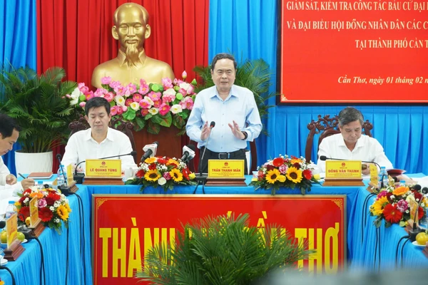 Chủ tịch Quốc hội Trần Thanh Mẫn phát biểu tại buổi làm việc.