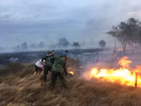 Hàng trăm người nỗ lực dập tắt cháy rừng ở Quảng Trị