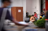 Cột điện, bốt điện tại Hà Nội bất ngờ được quấn cỏ nhựa, phủ gỗ