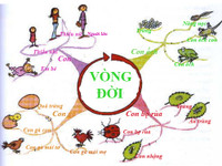 Học giỏi bằng bản đồ tư duy ảnh 1 Học giỏi bằng bản đồ tư duy ảnh 1
