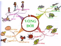 Học giỏi bằng bản đồ tư duy ảnh 1