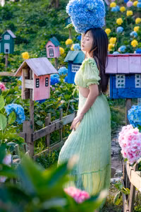 Cánh đồng hoa cẩm tú cầu đẹp ngỡ như Đà Lạt giữa Hà Nội