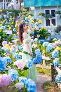 Cánh đồng hoa cẩm tú cầu đẹp ngỡ như Đà Lạt giữa Hà Nội