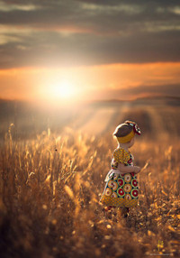 Ngơ ngác trẻ thơ, êm mềm tim ấm ảnh 4