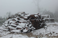 Băng tuyết trắng xóa tại miền Tây xứ Nghệ ảnh 7 Băng tuyết trắng xóa tại miền Tây xứ Nghệ ảnh 7