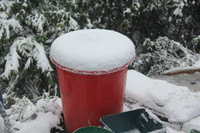 Băng tuyết trắng xóa tại miền Tây xứ Nghệ ảnh 6 Băng tuyết trắng xóa tại miền Tây xứ Nghệ ảnh 6