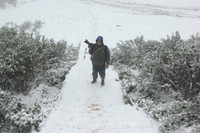 Băng tuyết trắng xóa tại miền Tây xứ Nghệ ảnh 9 Băng tuyết trắng xóa tại miền Tây xứ Nghệ ảnh 9