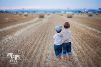 Bài học tình bạn tuyệt vời của trẻ nhỏ ảnh 9