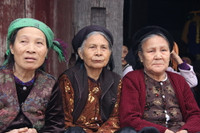 Mừng xuân chúc thọ - nét đẹp văn hóa người Việt ảnh 3 Mừng xuân chúc thọ - nét đẹp văn hóa người Việt ảnh 3