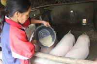 Cảm động chuyện thầy giáo tật nguyền nhận học phí bằng gạo trộn với… đất ảnh 4 Cảm động chuyện thầy giáo tật nguyền nhận học phí bằng gạo trộn với… đất ảnh 4