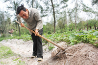 Cảm động chuyện thầy giáo tật nguyền nhận học phí bằng gạo trộn với… đất ảnh 3 Cảm động chuyện thầy giáo tật nguyền nhận học phí bằng gạo trộn với… đất ảnh 3